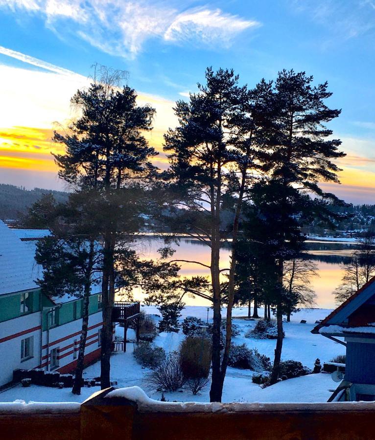 Lipno Beach Apartment Lipno nad Vltavou Dış mekan fotoğraf