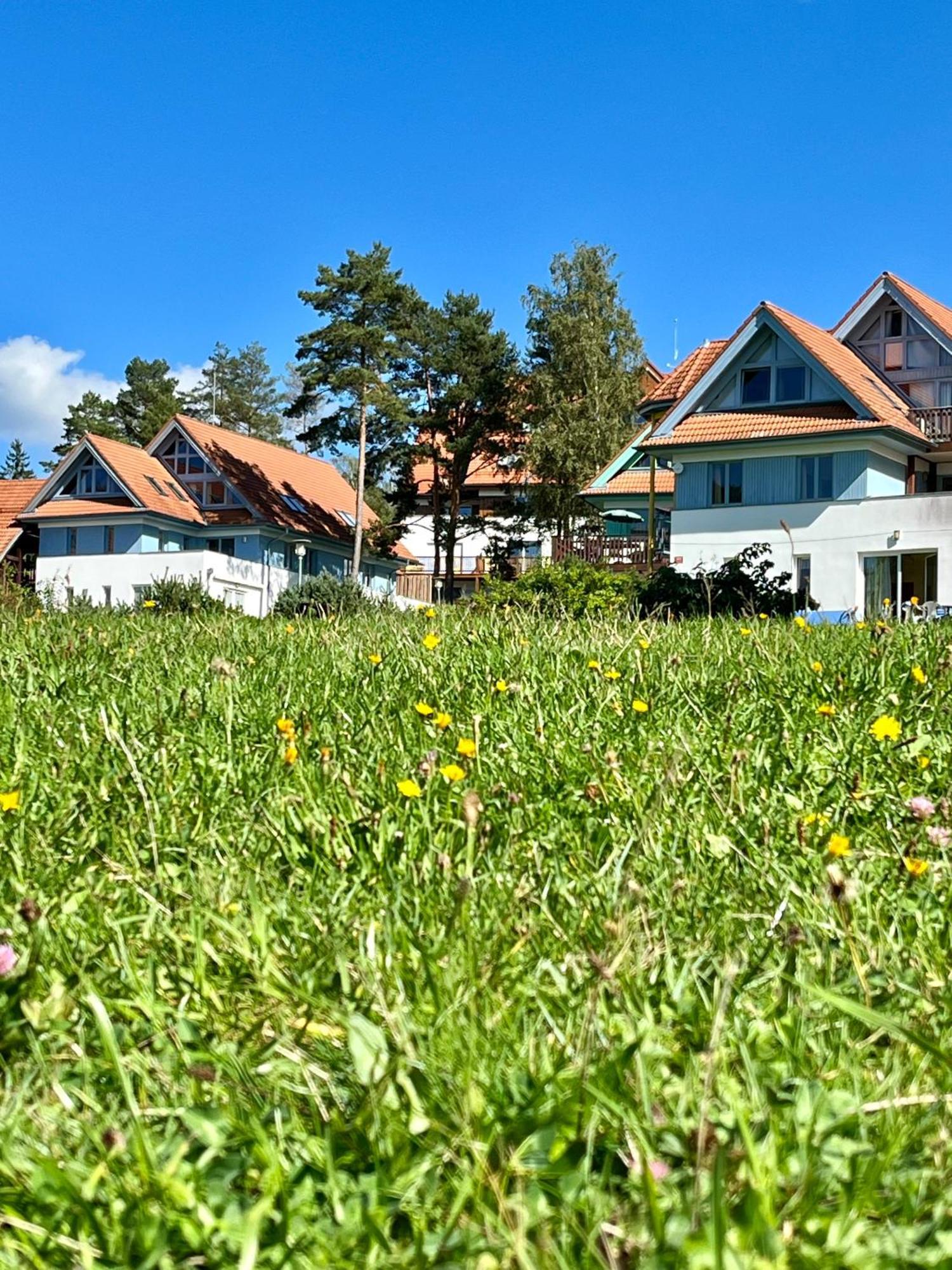Lipno Beach Apartment Lipno nad Vltavou Dış mekan fotoğraf